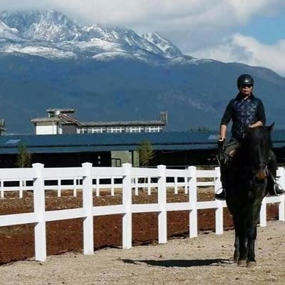 PVCパネル 農場 フェンス 庭園 フェンス トレッシ ニュー プライバシー ホワイト ビニール 2 レール フェンス