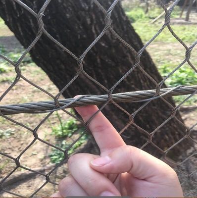 保護網 304 316 ステンレス鋼ロープ 庭園用装飾網