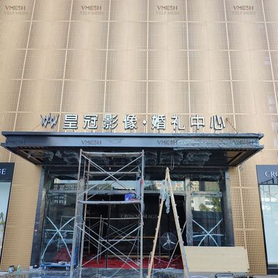 粉末で覆われたアルミニウム・ステンレス・ステール 建築の玄関のための穴を開けたシート