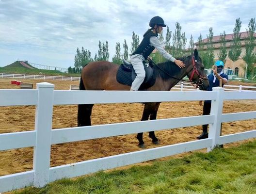 重荷3レール 馬 PVC農場フェンス プラスチックビニール 牧場パドック 馬フェンス