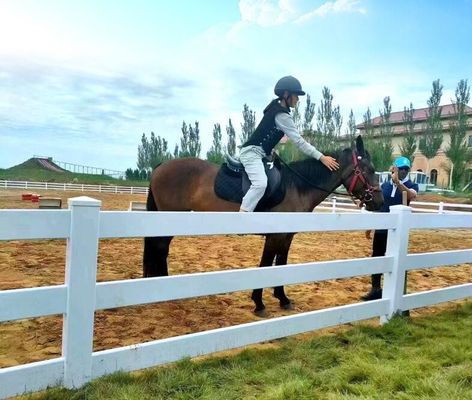 牛 ヴィニール 3レール PVC 2レール 馬 敷地 農場 欄 ポスト 牧場