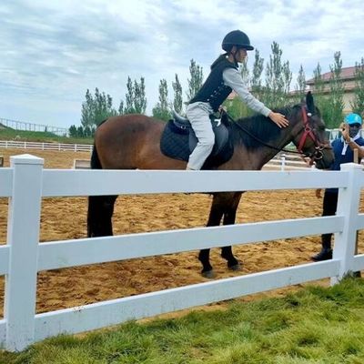 白い3レール PVC馬のフェンス 安定したプラスチック馬のフィールドフェンス