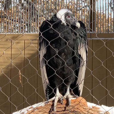 ダイヤモンド 柔軟性 ステンレス ワイヤー ロープ ケーブル メッシュ 動物園 メッシュ