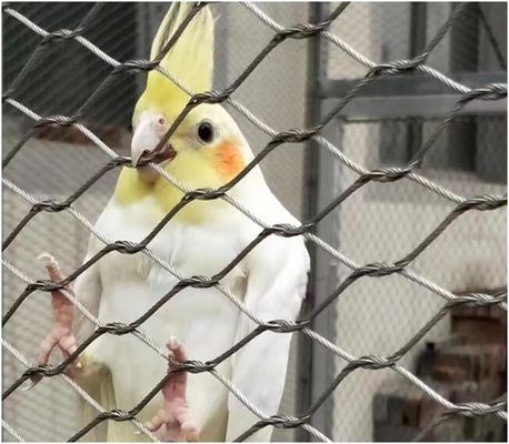 動物園の柵や鳥小屋向けの、長寿命で無毒なUV耐性ステンレス鋼ワイヤーロープメッシュ