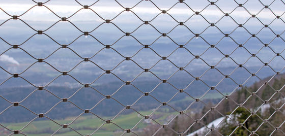 建築用 ダイヤモンド 柔軟なスクリーン 動物園 飼育場 シェーフ