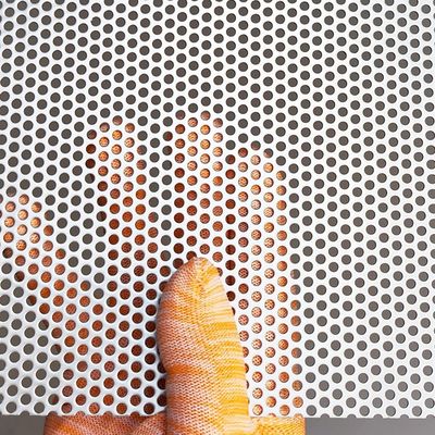 スピーカーグリルシートのためのステンレス鋼 小穴穴穴毛穴網