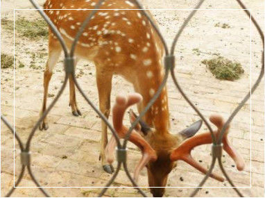 手織りフレキシブルステンレス鋼ロープメッシュ、バルストレーと動物園エンクロージャー向けに境界寸法をカスタマイズ可能