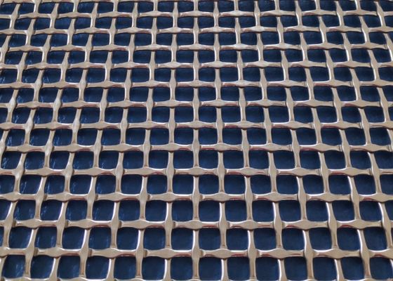 建築装飾用の不?? 鋼304 ロック・クリップ・メタル・ Mesh