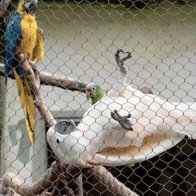 ダイヤモンドホール形状のステンレス鋼ロープメッシュ、UV耐性、動物園の柵や鳥小屋向け10年保証