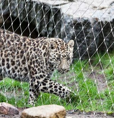 信頼性の高い304ステンレス鋼ケーブルメッシュ ブラック酸化
