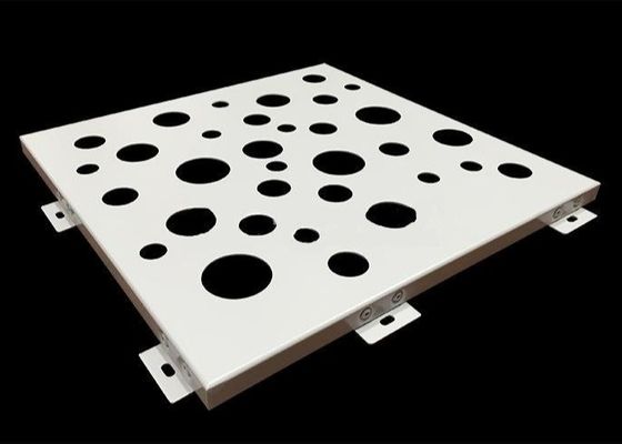 私用庭のためのVelpを囲うコーティングの穴があいた金属の網を粉にしなさい